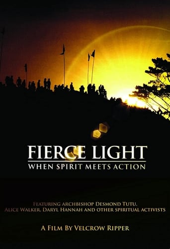 Fierce Light: When Spirit Meets Action Poster