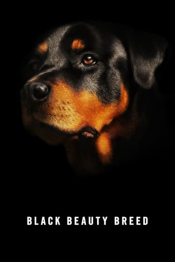 Black Beauty Breed Poster