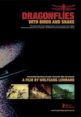 Dragonflies with Birds and Snake Poster