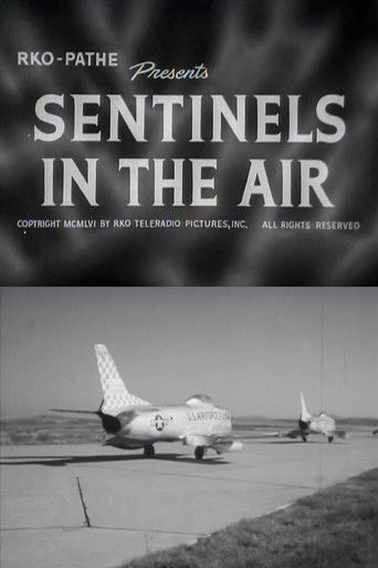 Sentinels in the Air Poster