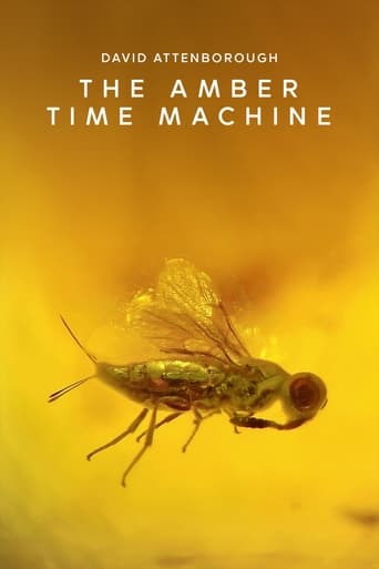 The Amber Time Machine Poster