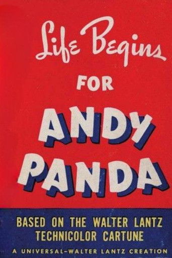 Life Begins for Andy Panda Poster
