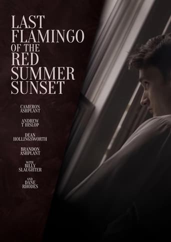 Last Flamingo of the Red Summer Sunset Poster