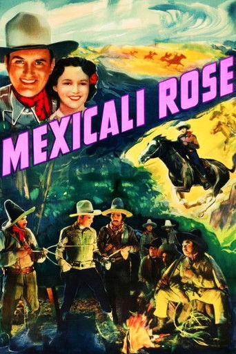 Mexicali Rose