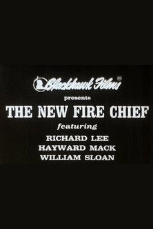 The New Fire Chief